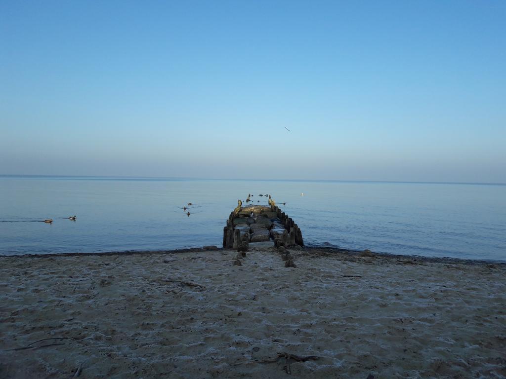 DziwnówekSeaside Lesne Tarasy公寓 外观 照片